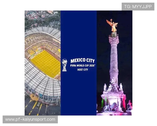 2026世界杯的经济遗产：赚了还是赔了？，世界杯申办2026